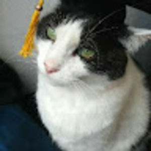 Meet your Posher, Cookie